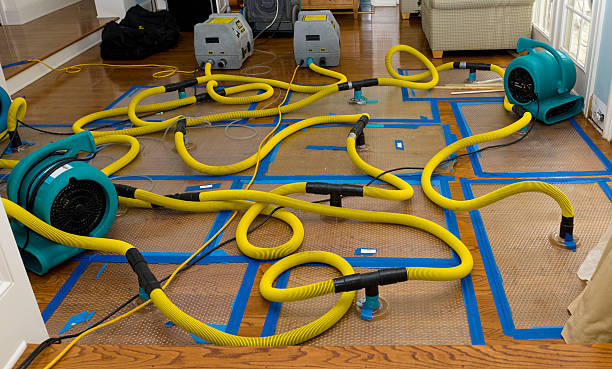 Professional Emergency Water Removal technician working in Granbury, TX